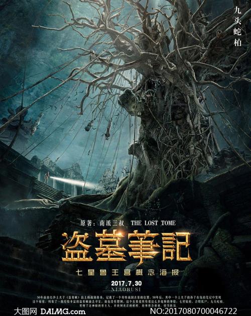 哪里可以办波兰护照模板